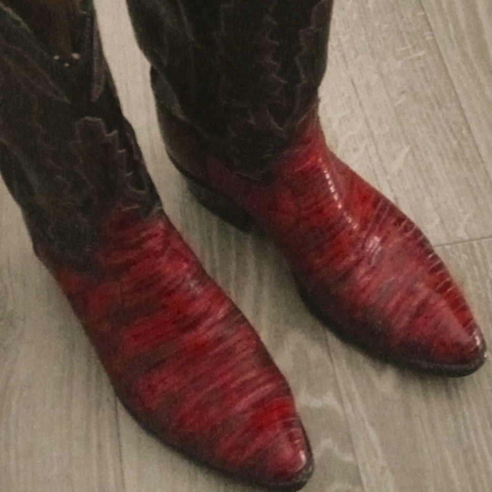 Dan Post Red Lizzard Boots